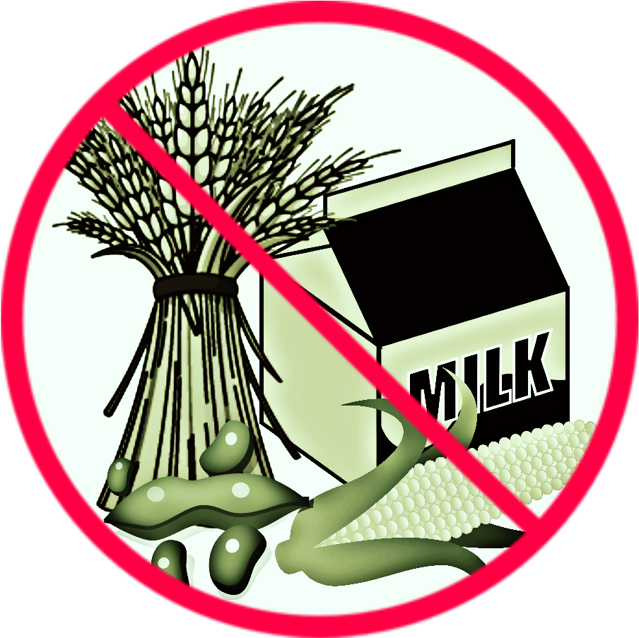 Nofood - Portable Network Graphics (912x925), Png Download