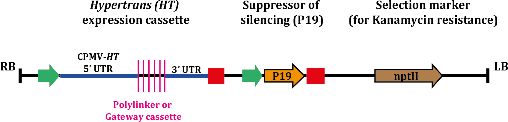 Rb And Lb Represent The Right And Left Borders Of The - Graphic Design (1696x414), Png Download