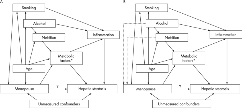 Causal Diagram For The Association Between Menopause - Diagram (850x381), Png Download