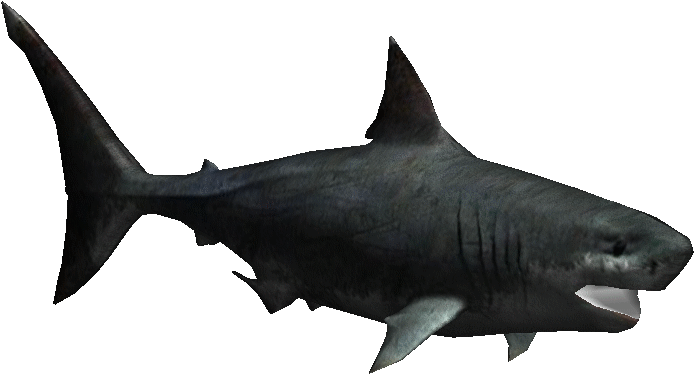 Megalodonroy - Zoo Tycoon 2 Megalodon (703x703), Png Download