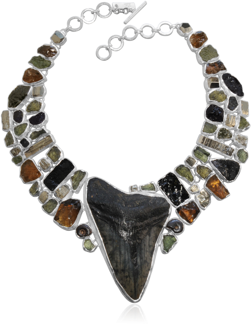 Megalodon Tooth, Moldavite, Pyrite, Ammonite And Cognac - Necklace (1126x1126), Png Download