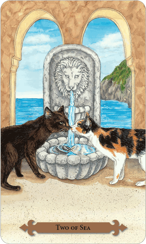 Mystical Cats Tarot - Tarot (600x800), Png Download