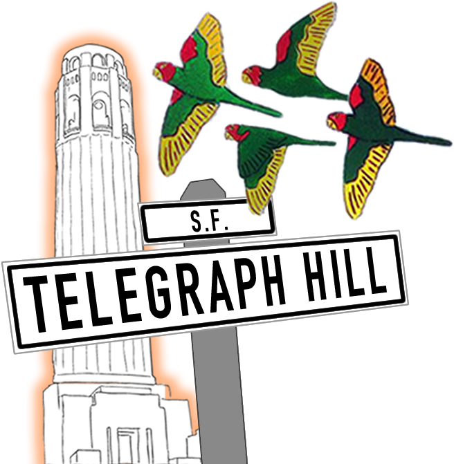 Snapchat Filters Clipart Geofilter - San Francisco Geofilter Png (1080x1920), Png Download