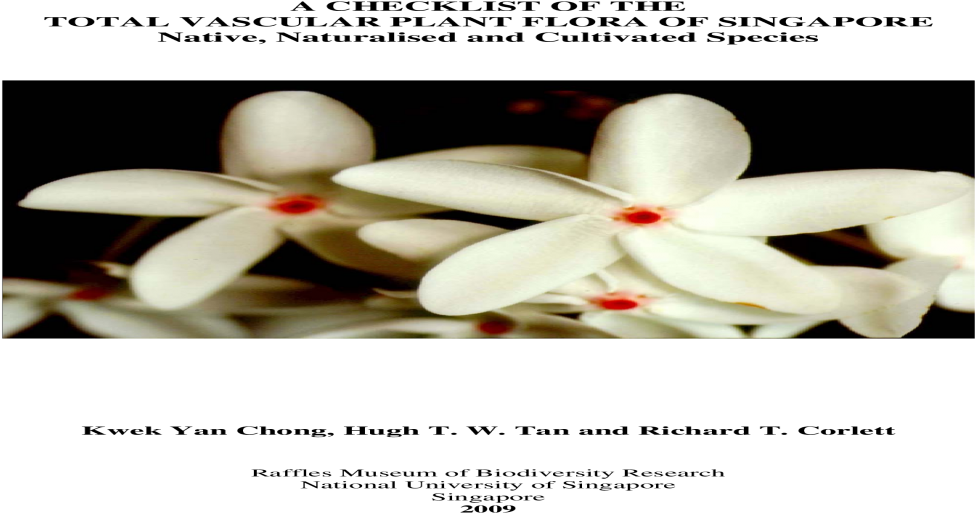 Jasmine (1200x630), Png Download