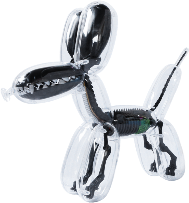 Balloon Dog Anatomy - Balloon Dog Metallic (800x800), Png Download