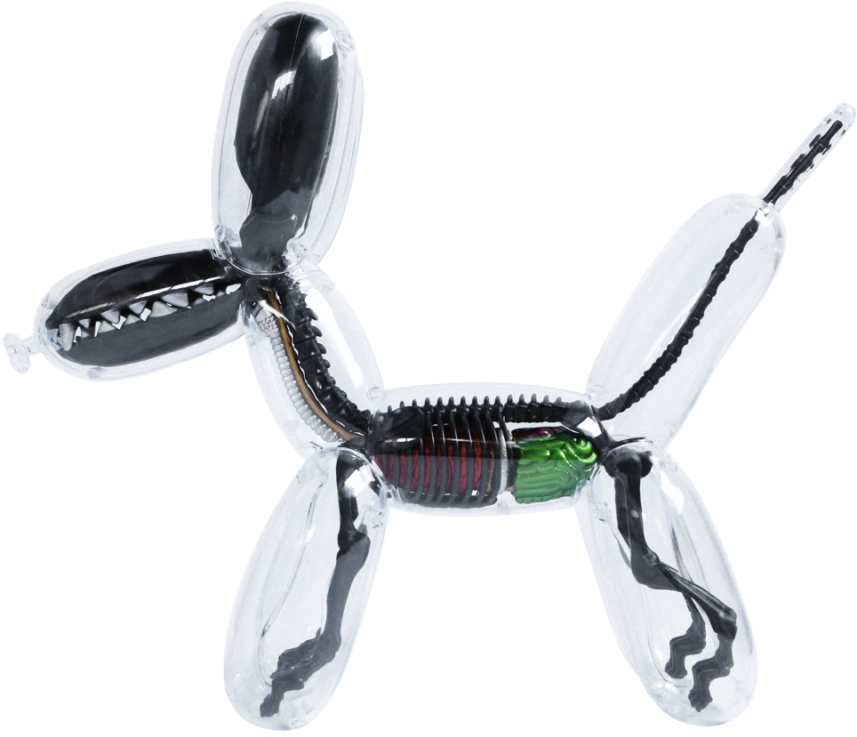 Balloon (1000x1000), Png Download