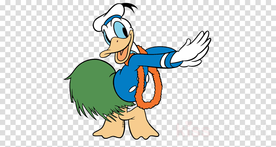 Donald Duck Dancing Png Clipart Daisy Duck Donald Duck - Classic Donald Duck (900x480), Png Download