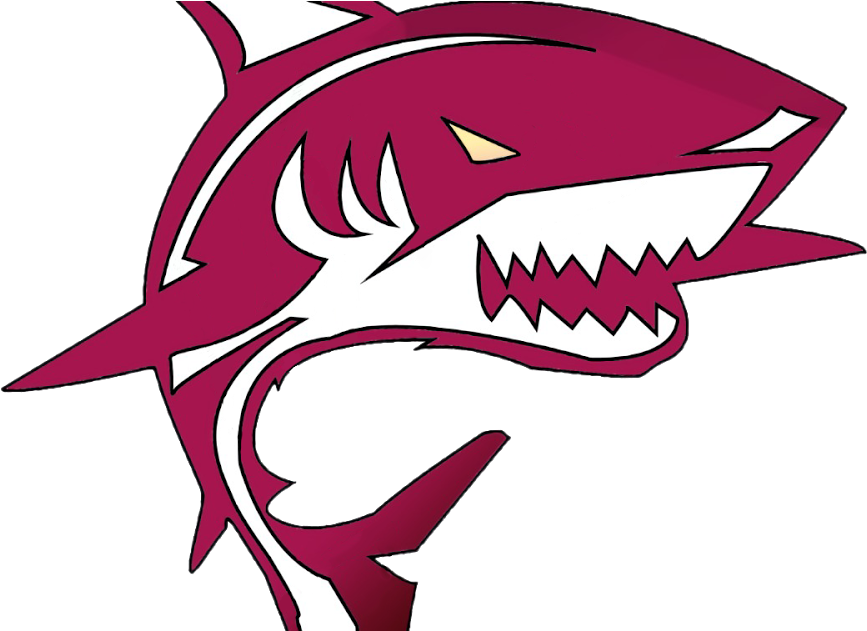 Bash Post Exploitation Toolkit - Computer Security (1200x630), Png Download