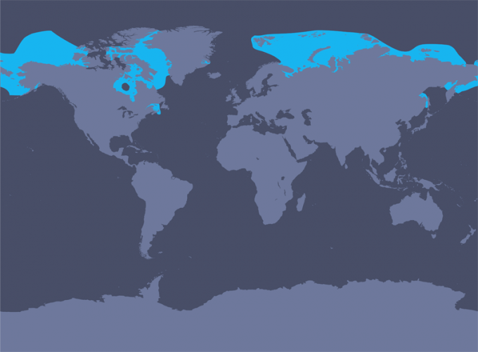 An Error Occurred - Beluga Whales Habitat Map (680x501), Png Download