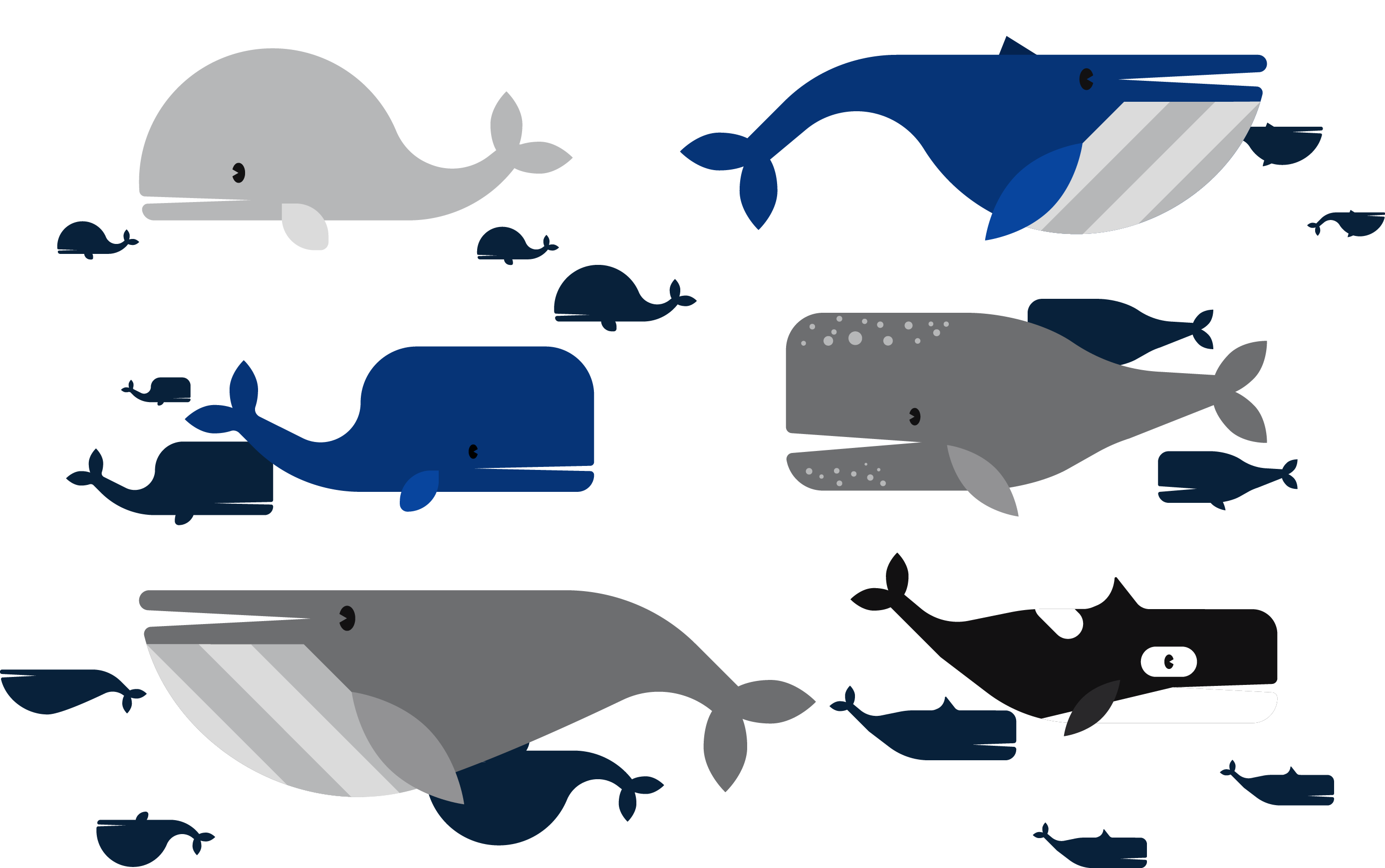 Ballena Vector (2775x1740), Png Download