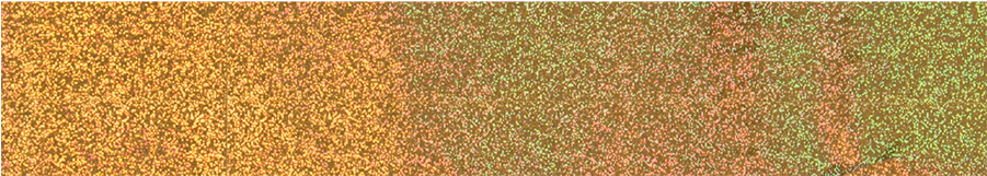 Transfer Foil Gold Holographic Glitter - Glitter (1024x1024), Png Download