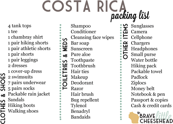 The Brave Little Cheesehead - Vacation (657x484), Png Download