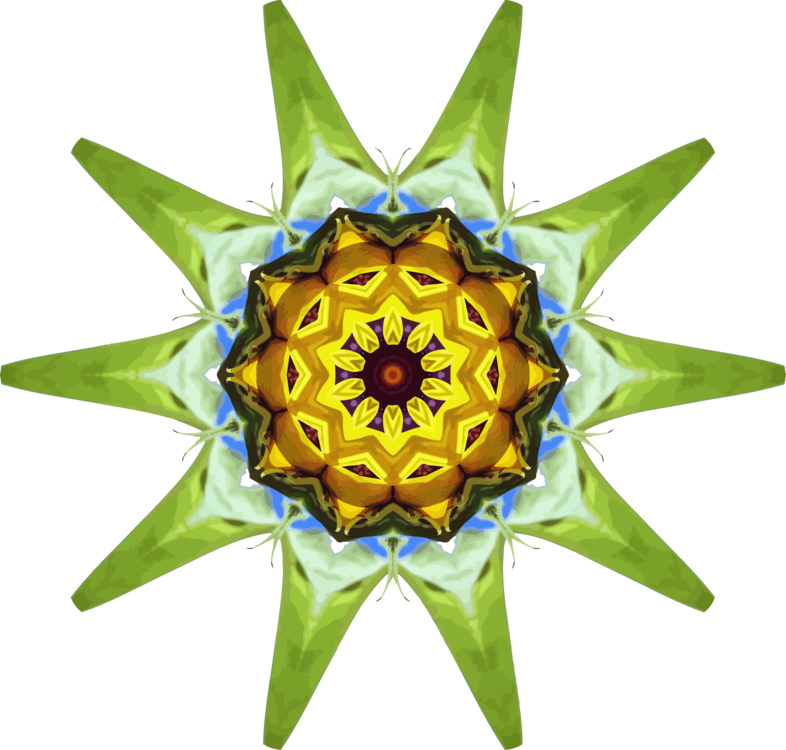 Common Sunflower Computer Icons Drawing Sunflower M - Clip Art (786x750), Png Download