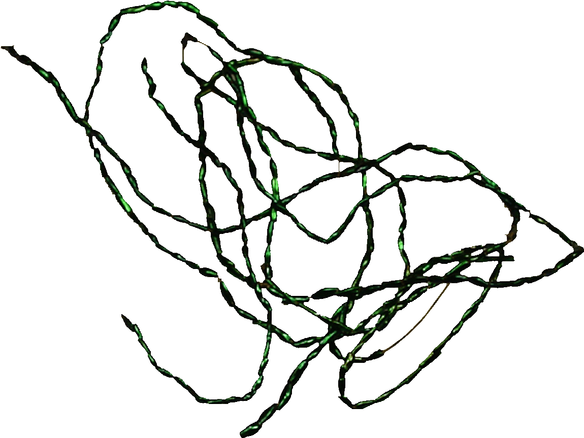 Papua New Guinea, St Matthias Islands, String Of Beetles' - St Matthias Islands (1181x1181), Png Download