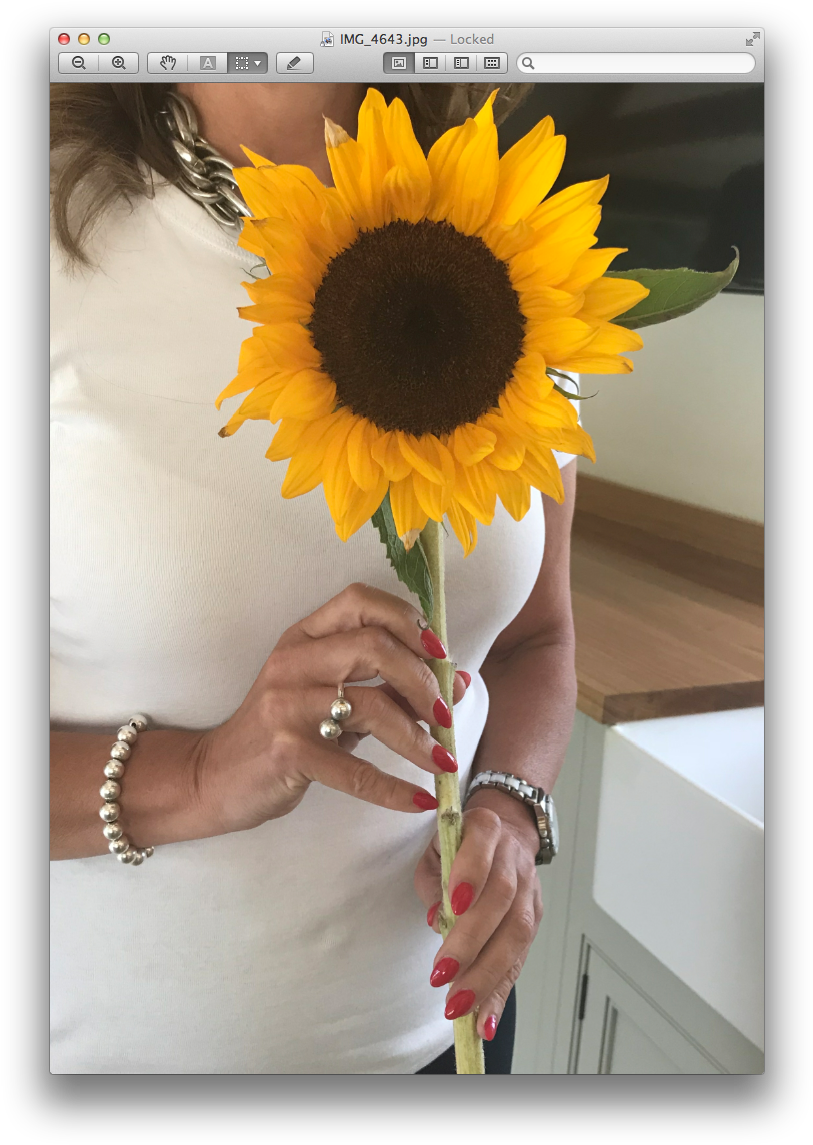 Order Your Party Kit At Http - Sunflower (828x1160), Png Download