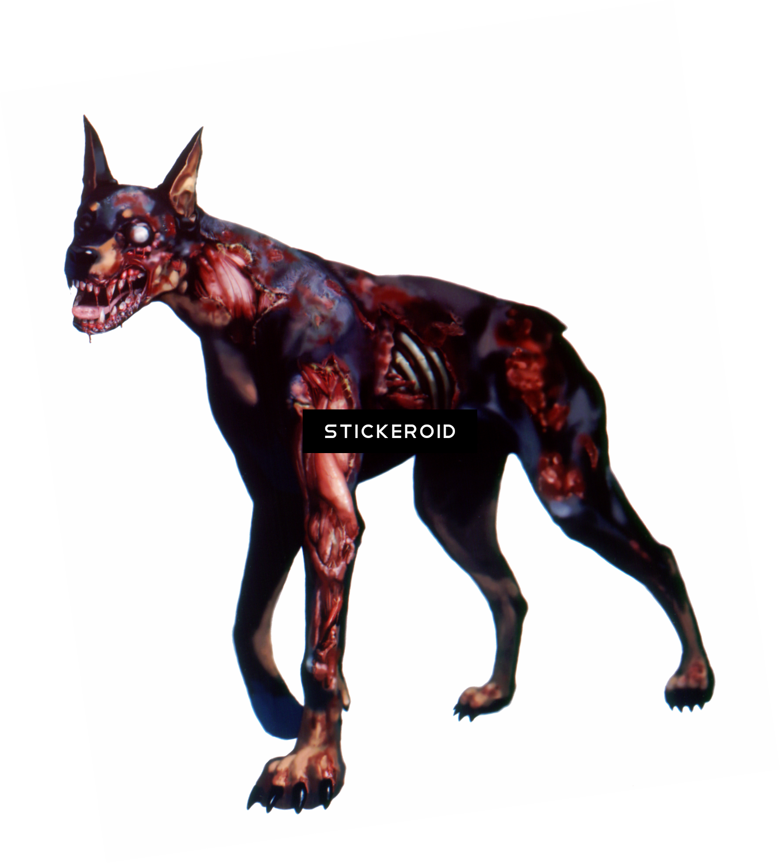 Zombie - Los Perritos Más Feos Del Mundo (1608x1779), Png Download