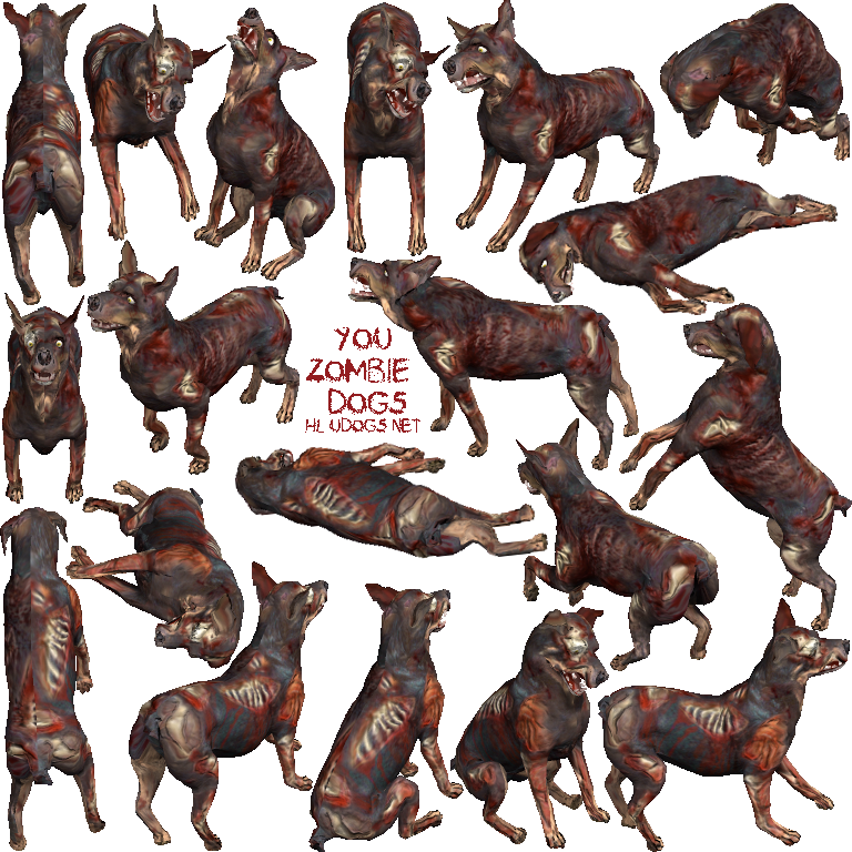 Ptzombieudogs - Zombie Gone Wild (768x768), Png Download