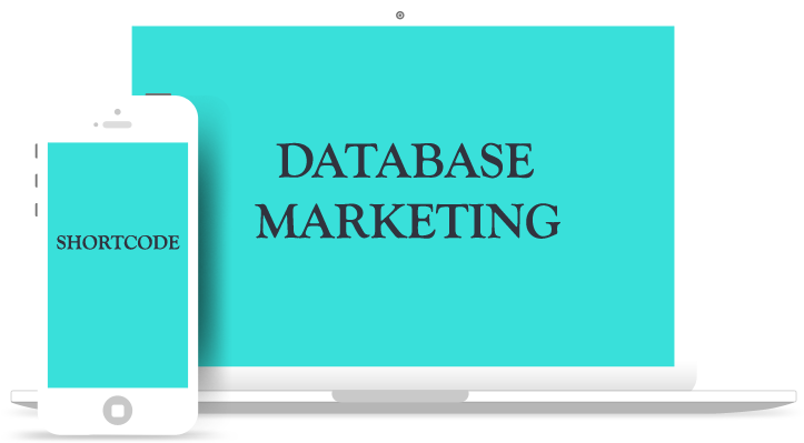 We Delivered Business Solutions - Search Engine Optimization (804x449), Png Download