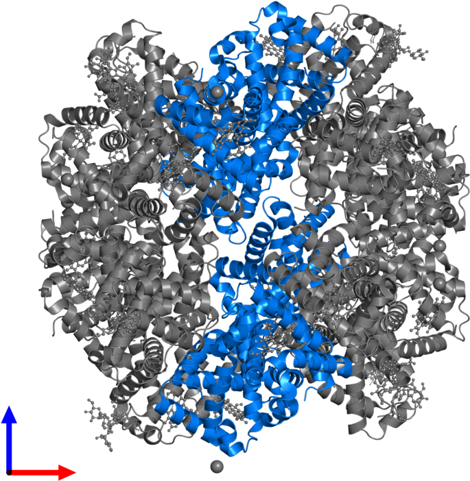<div Class='caption-body'>pdb Entry 3wcw Contains 6 (800x800), Png Download