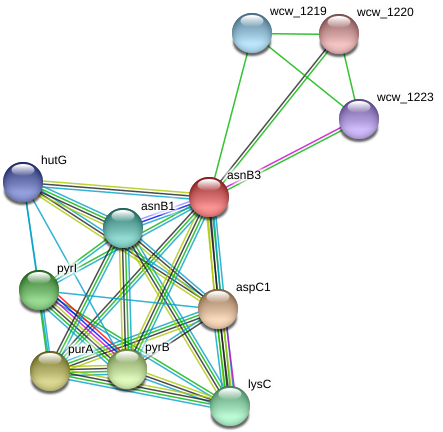 Circle (976x468), Png Download