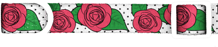 Roses Collar - Floribunda (880x500), Png Download