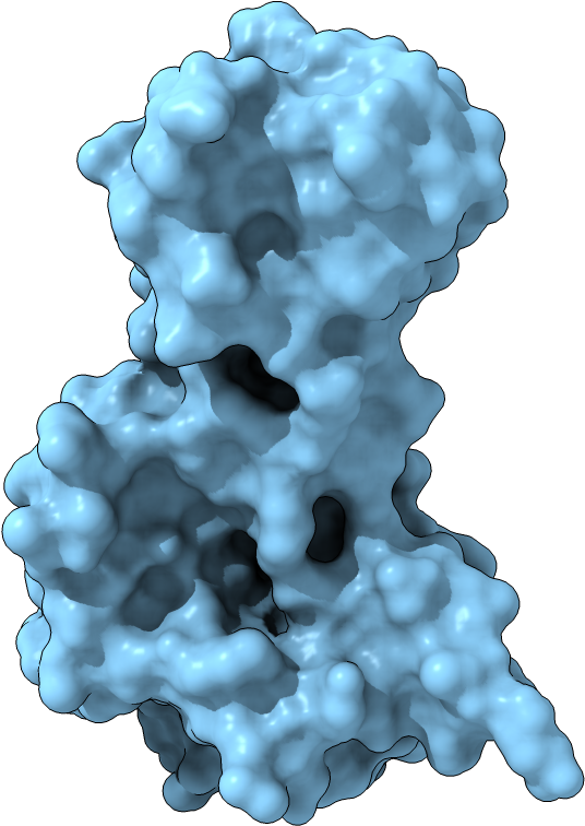 Surface Display - Blueberry (1000x1000), Png Download