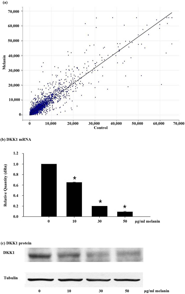 Microarray Analysis Revealed The Inhibition Of Dkk1 (902x994), Png Download