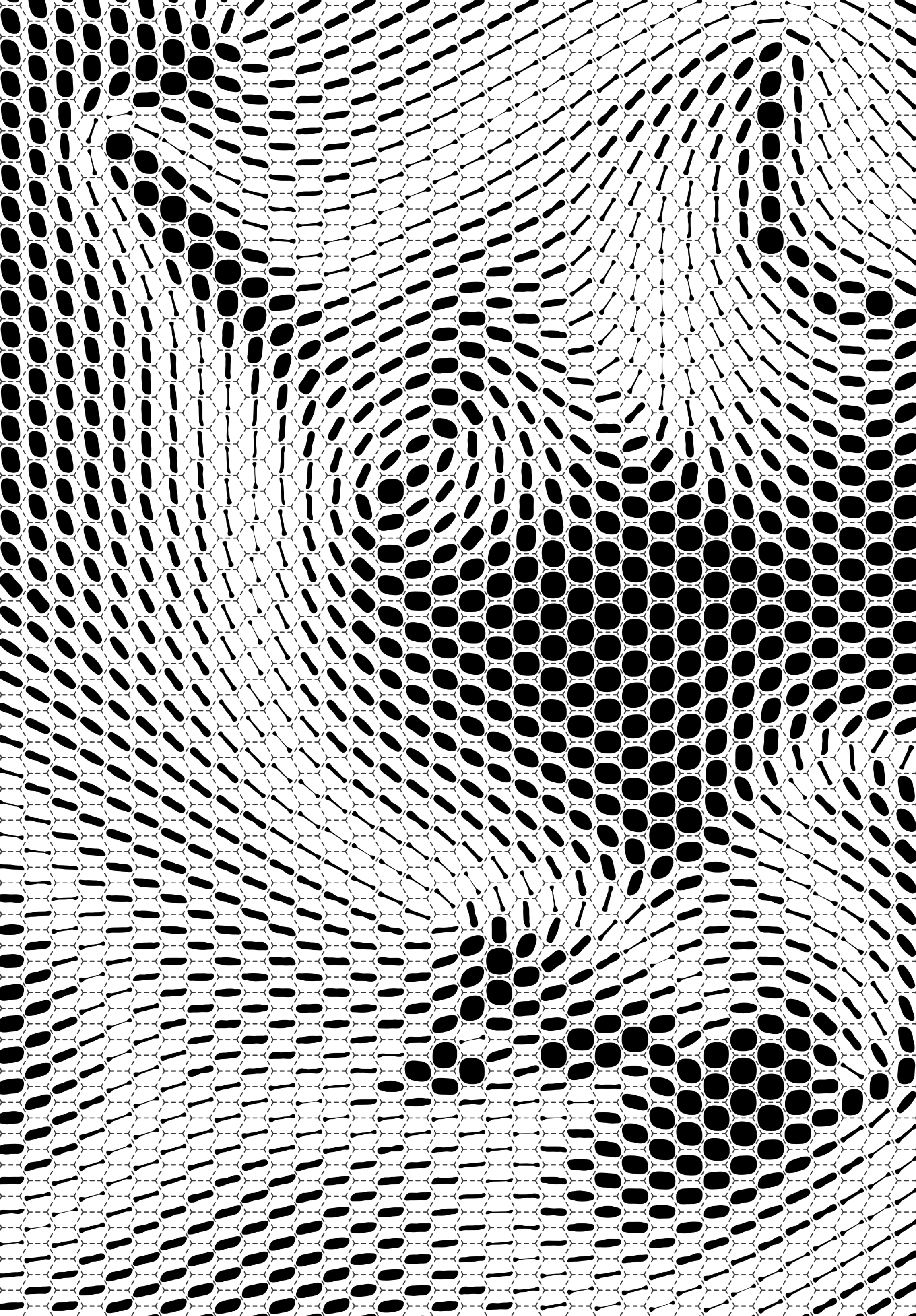 Parametric Vector Design (2276x3270), Png Download