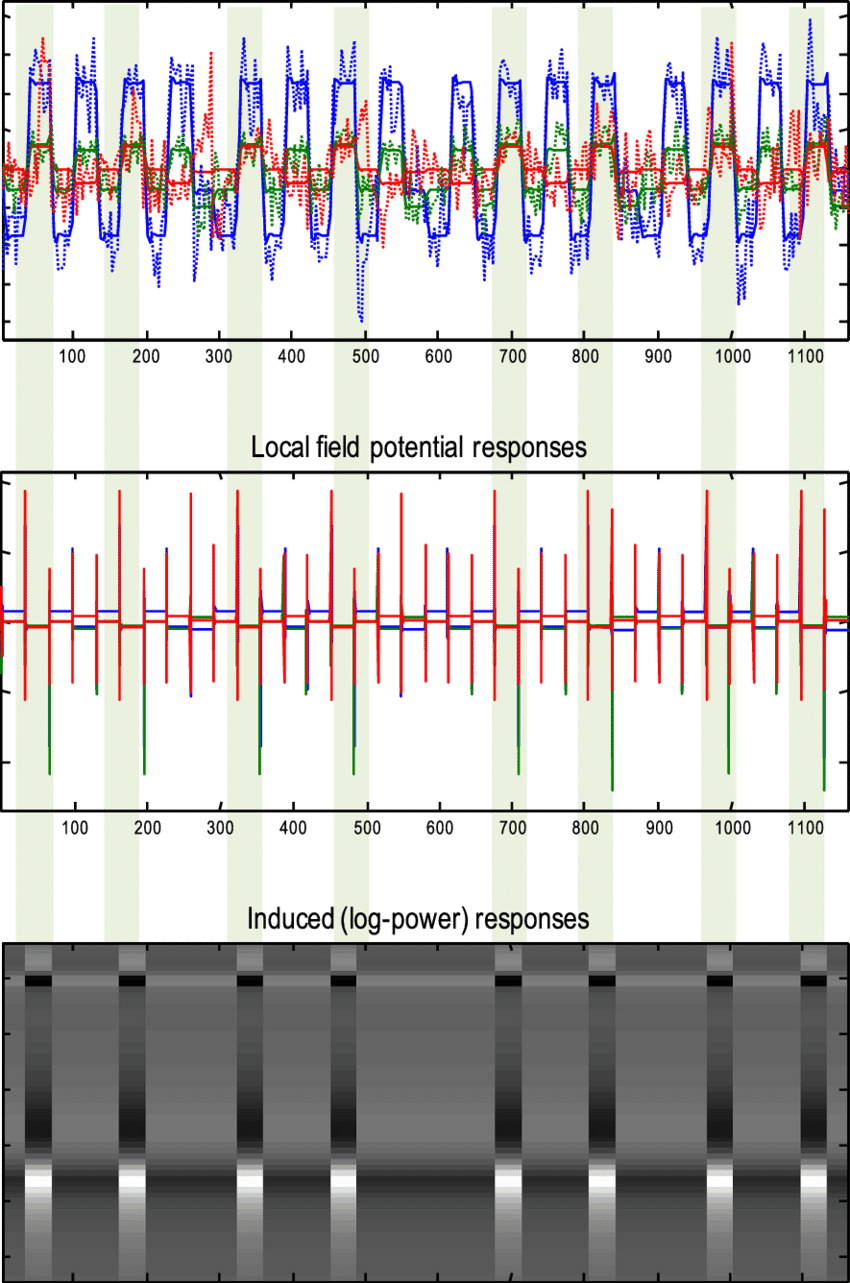 This Figure Shows The Predicted And Observed Bold Responses - Plot (850x1283), Png Download