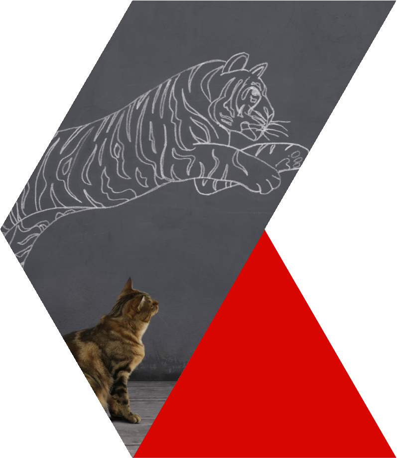 Learn More - Tabby Cat (797x919), Png Download