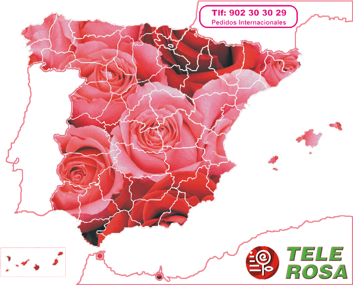 Pedidos Internacionales Tlf 902 30 30 - Floristry (715x568), Png Download