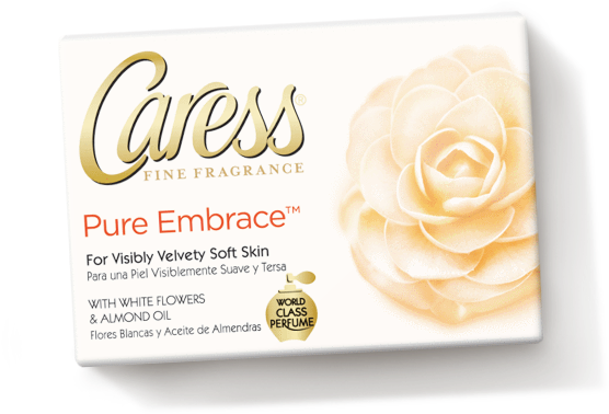 Garden Roses (800x800), Png Download