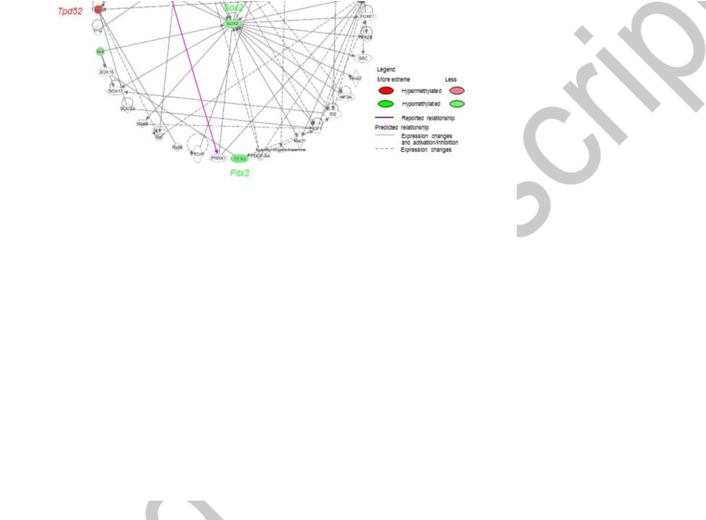 Signaling Pathways Associated With Differentially Methylated - Pathway Analysis (850x519), Png Download