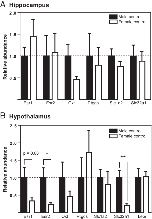 Sex Differences In Hippocampal And Hypothalamic Expression - Gene Expression (648x932), Png Download