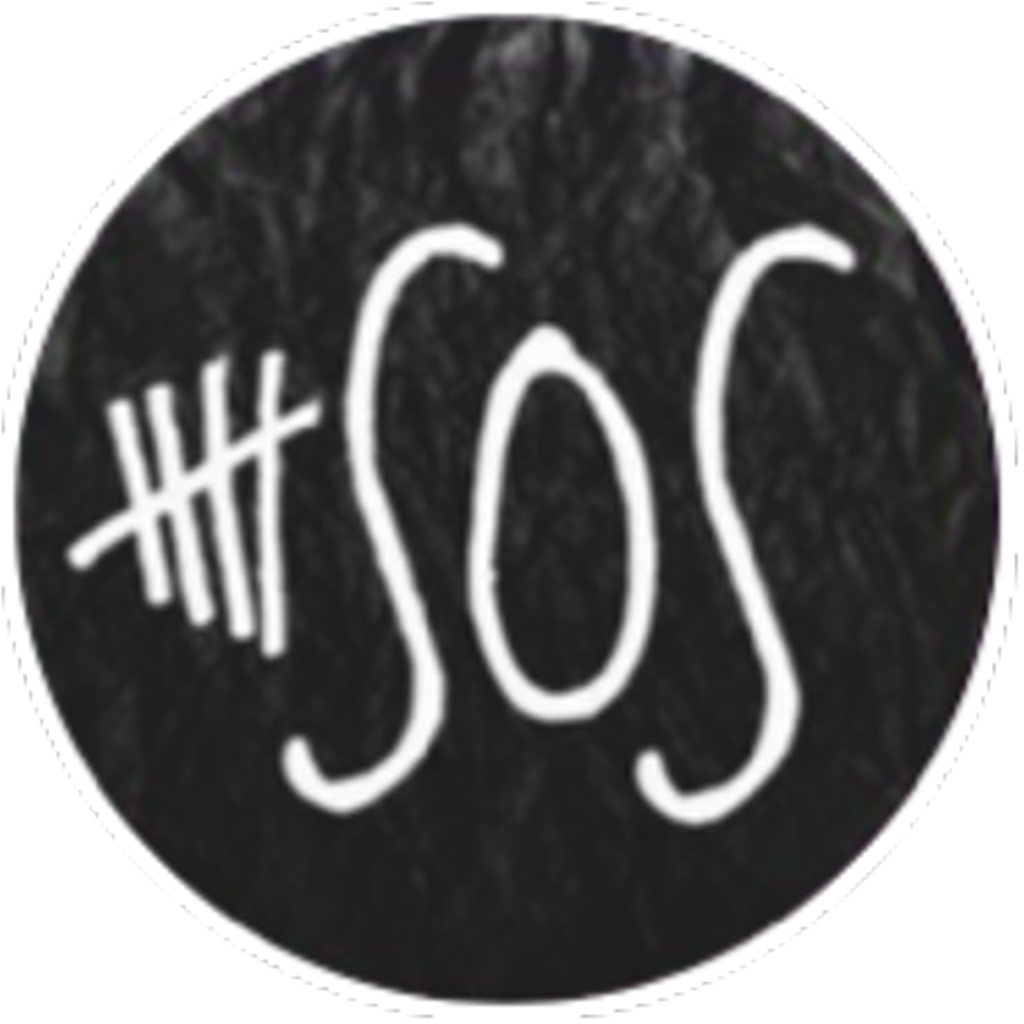 5 Seconds Of Summer Logo (1024x1024), Png Download