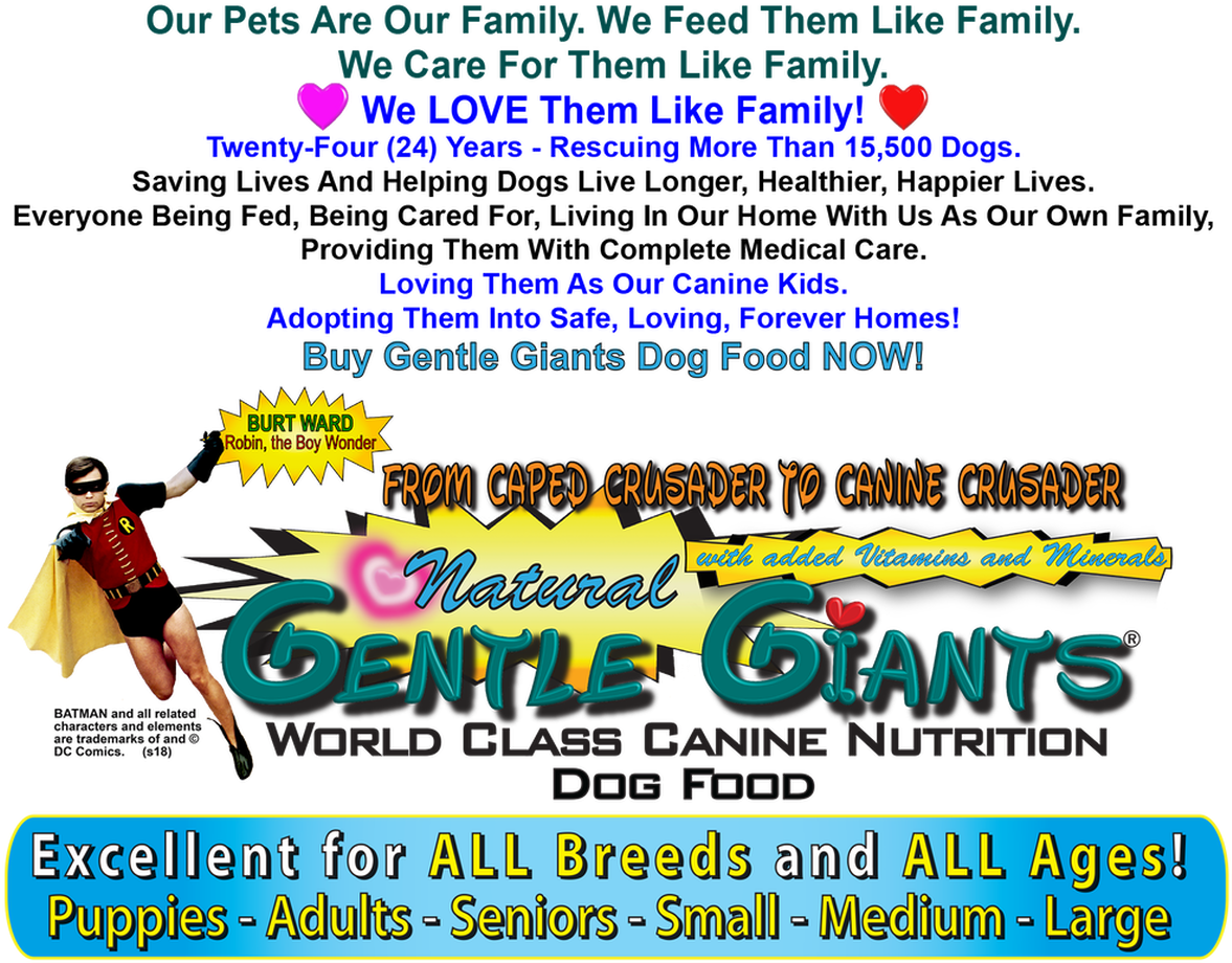 Gentle Giants (1313x925), Png Download