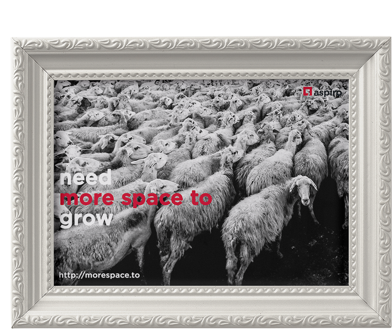More Space To Grow Wallpaper - Don T Follow The Majority Follow The Right Way (800x800), Png Download