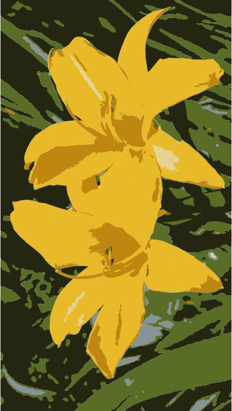 Medium Image - Yellow (452x800), Png Download