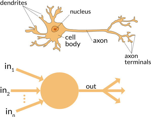 Https - //appliedgo - - Machine Learning Neural Network Brain (800x500), Png Download