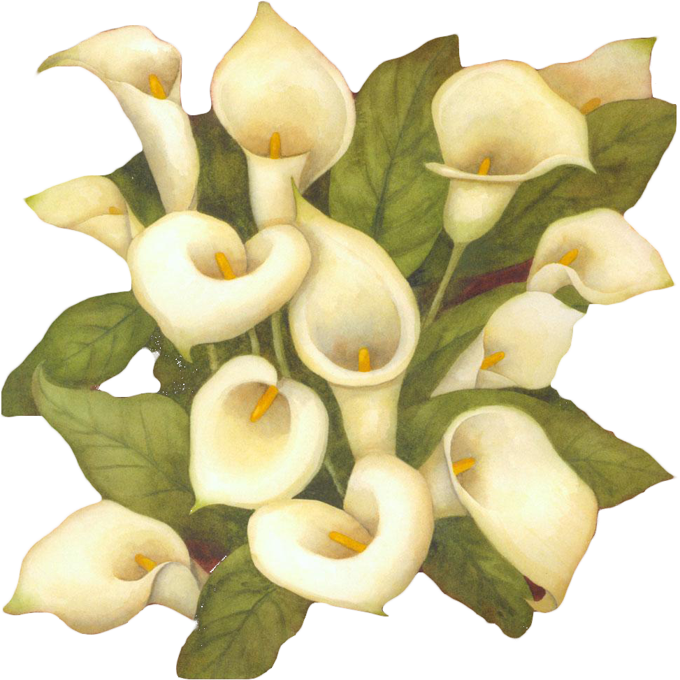 Clip Art The Art Of Painting Flower Arum-lily - Clip Art Lily Flower Bouquet Black And White (1000x1000), Png Download