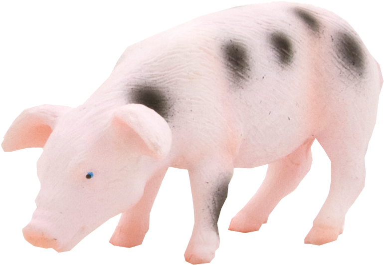 Mojo Animal Planet Прасе - .net (1000x831), Png Download