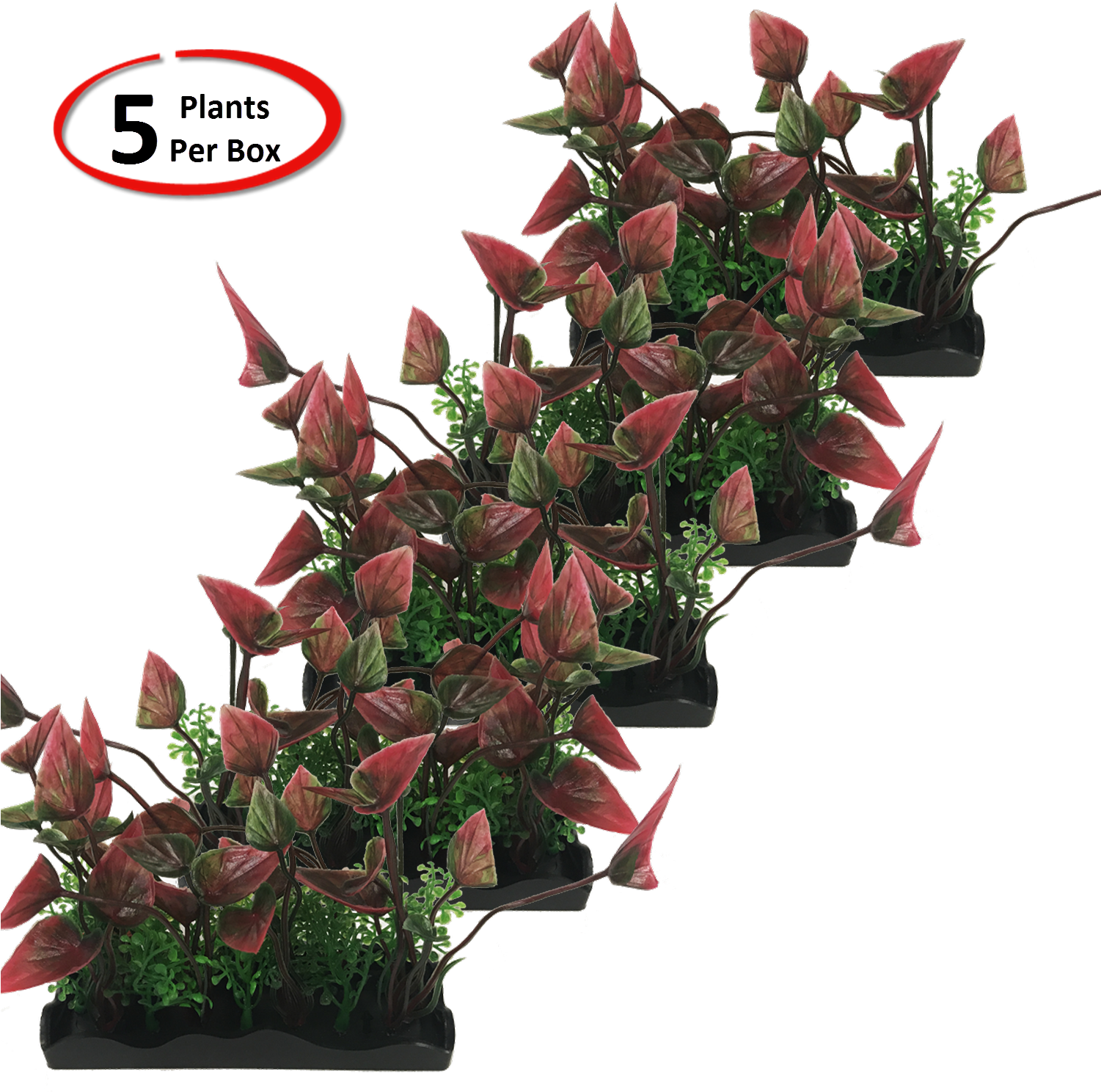 View Larger - Garden Roses (1500x1500), Png Download