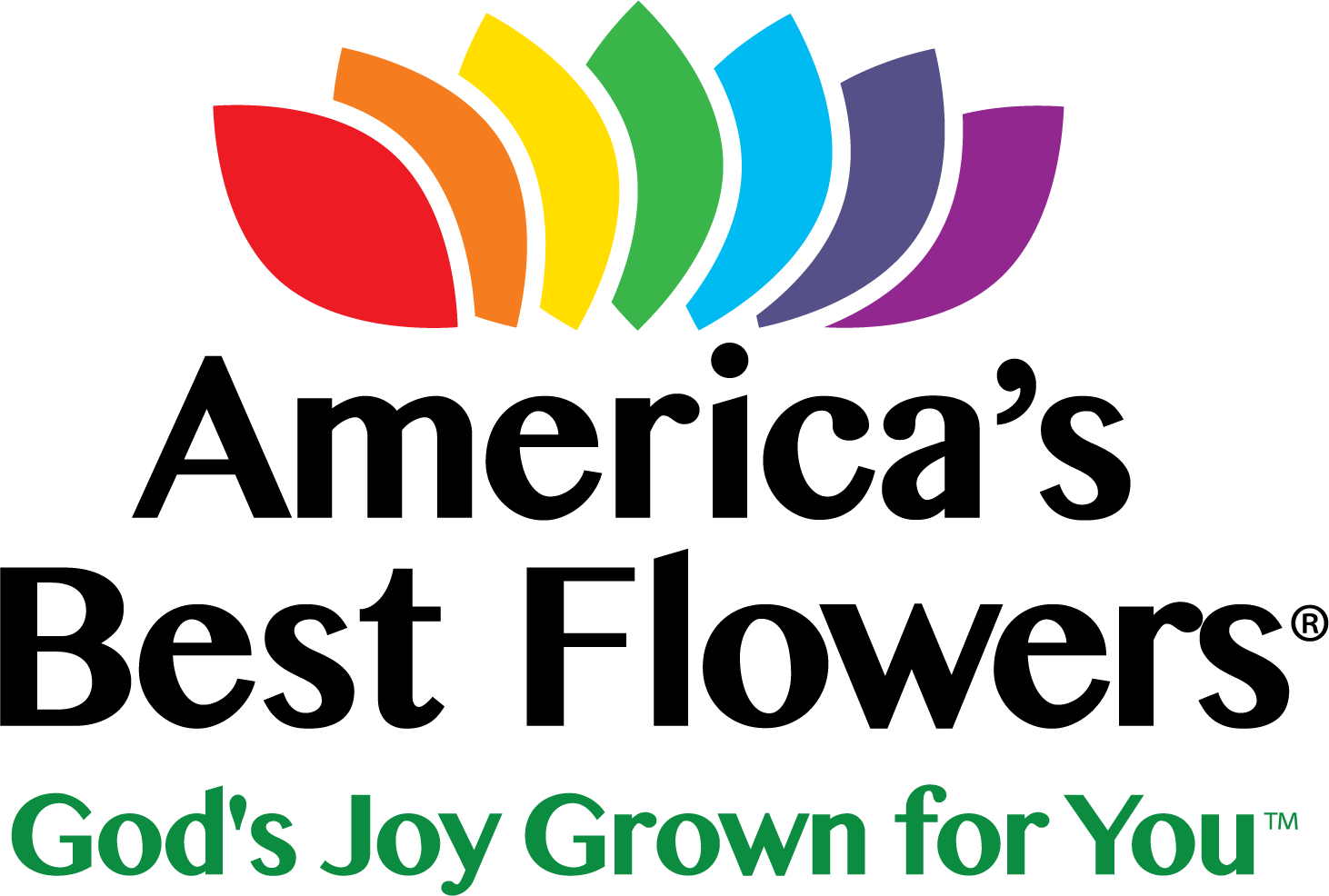 Flowers Top View Png (1462x986), Png Download