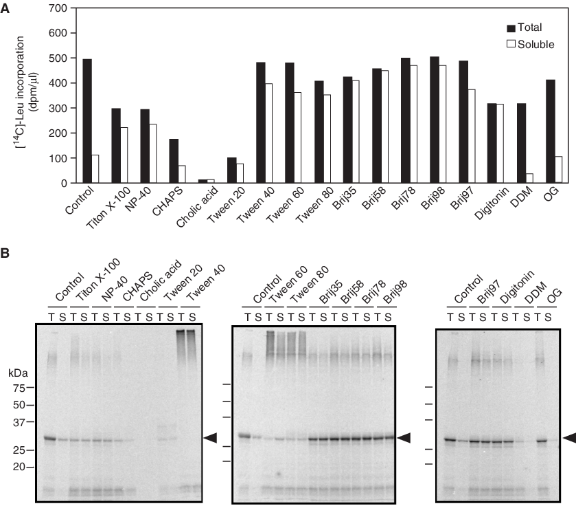 Effects Of Detergents On Solubility And Production - Cell-free System (839x736), Png Download