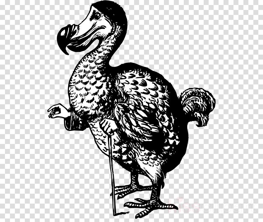 Download Dodo Alice Clipart Dodo Alice's Adventures - Alice's Adventures In Wonderland Dodo (900x760), Png Download