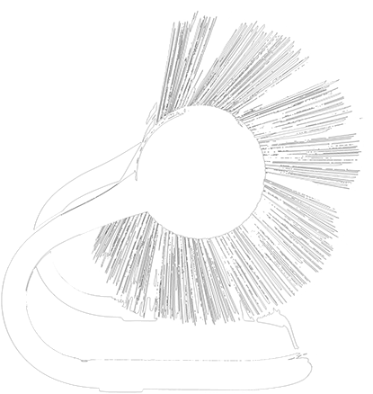 More - Circle (612x612), Png Download