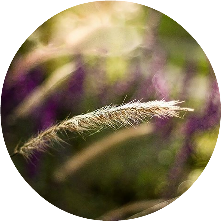 &nbsp - Blog (743x745), Png Download