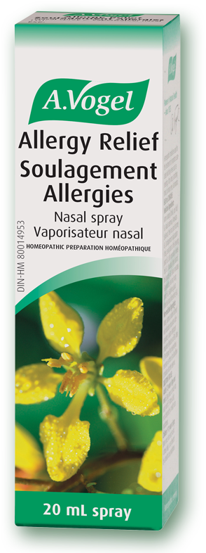 A Natural Allergic Rhinitis Treatment (800x800), Png Download