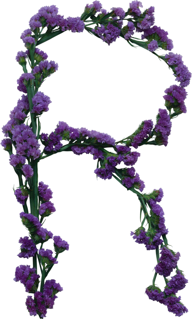 B *✿* Naturaleza - Down To Earth (615x1024), Png Download