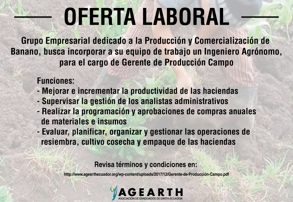 La Producción Y Comercialización De Banano, Busca Incorporar - Production (960x664), Png Download